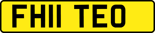 FH11TEO
