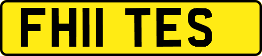 FH11TES