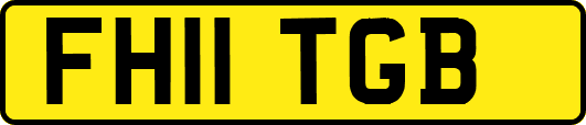 FH11TGB