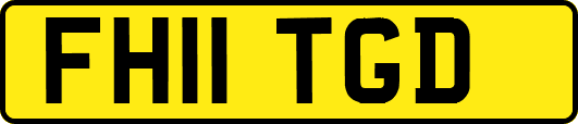 FH11TGD