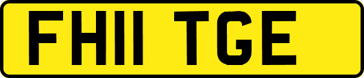 FH11TGE