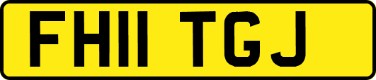 FH11TGJ