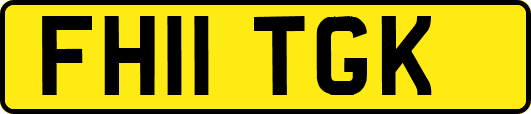 FH11TGK