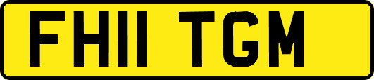 FH11TGM