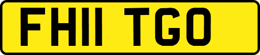 FH11TGO