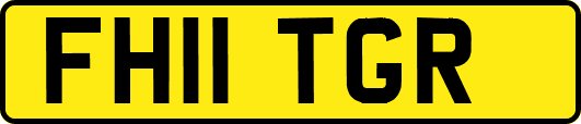FH11TGR