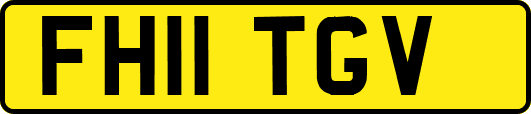 FH11TGV