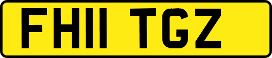 FH11TGZ