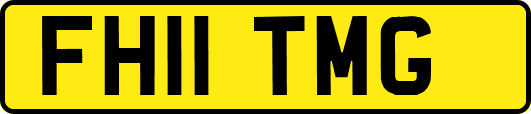 FH11TMG
