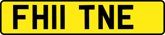 FH11TNE