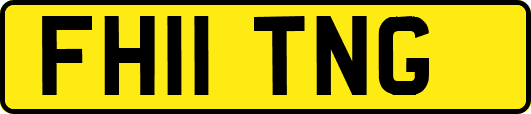FH11TNG