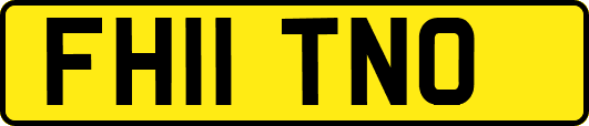 FH11TNO
