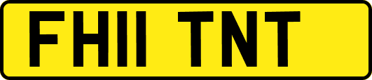 FH11TNT