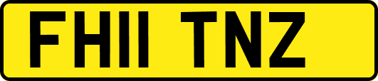 FH11TNZ