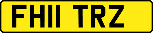 FH11TRZ