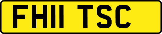 FH11TSC