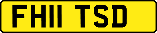 FH11TSD