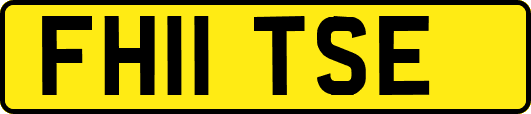 FH11TSE