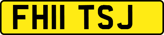 FH11TSJ