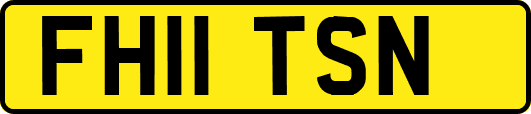 FH11TSN