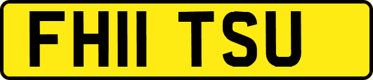 FH11TSU