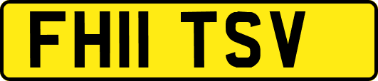 FH11TSV
