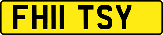 FH11TSY