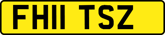 FH11TSZ