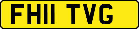 FH11TVG