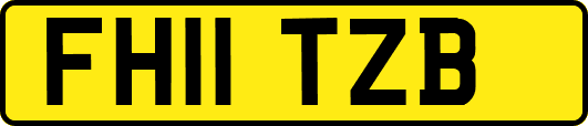 FH11TZB