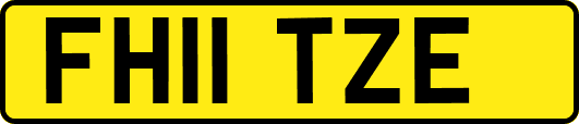 FH11TZE