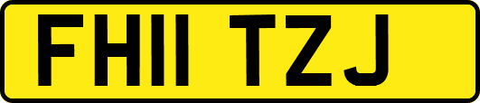 FH11TZJ
