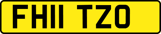 FH11TZO