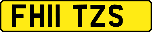 FH11TZS