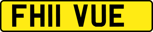 FH11VUE
