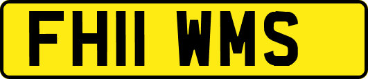 FH11WMS