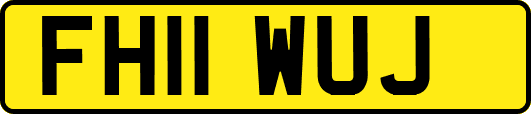 FH11WUJ