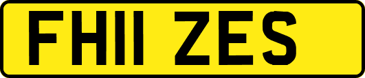 FH11ZES