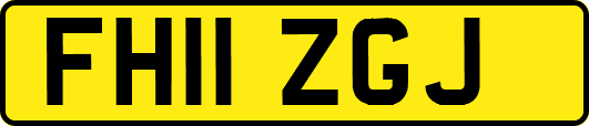 FH11ZGJ