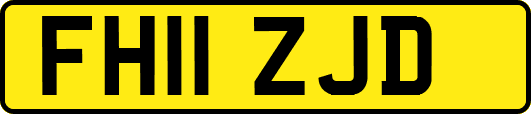 FH11ZJD
