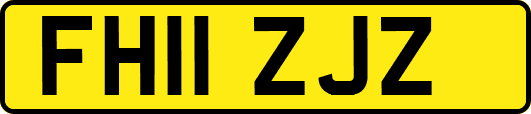 FH11ZJZ