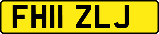 FH11ZLJ