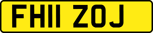 FH11ZOJ