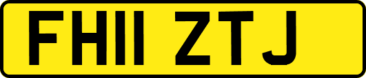 FH11ZTJ