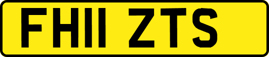 FH11ZTS