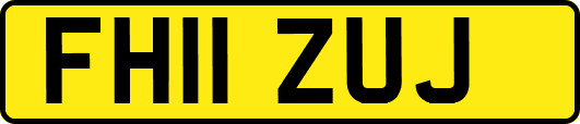 FH11ZUJ