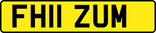 FH11ZUM