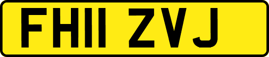 FH11ZVJ