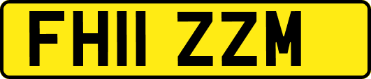 FH11ZZM
