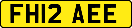 FH12AEE
